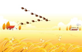 大雁南飞flash动画剪辑